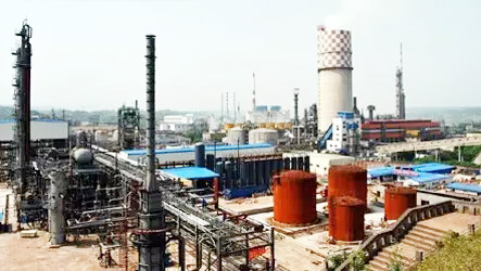 金田生活用品有限公司拟建10万吨生活用纸项目